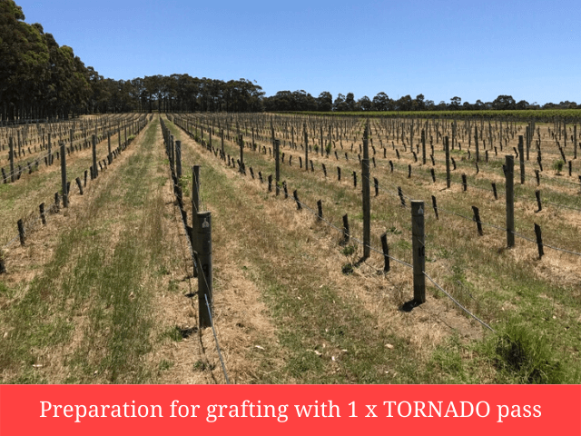 Grafting Preparation with Tornado