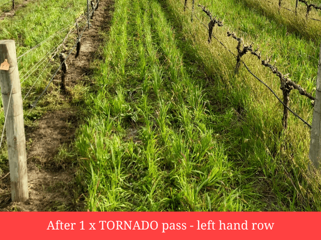 Result after 1 Tornado passes